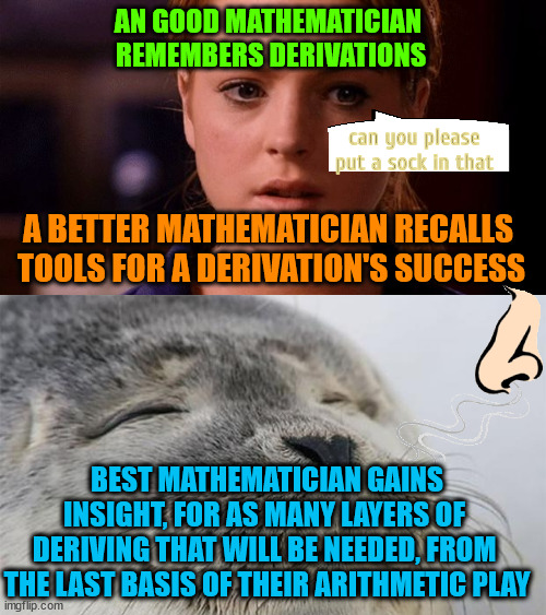 where do you stand | AN GOOD MATHEMATICIAN
 REMEMBERS DERIVATIONS; can you please put a sock in that; A BETTER MATHEMATICIAN RECALLS
 TOOLS FOR A DERIVATION'S SUCCESS; BEST MATHEMATICIAN GAINS
INSIGHT, FOR AS MANY LAYERS OF 
DERIVING THAT WILL BE NEEDED, FROM 
THE LAST BASIS OF THEIR ARITHMETIC PLAY | image tagged in limit does not exist mean girls | made w/ Imgflip meme maker