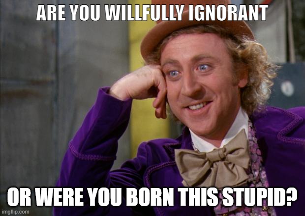 Willfully Ignorant | ARE YOU WILLFULLY IGNORANT; OR WERE YOU BORN THIS STUPID? | image tagged in willy wonka hd | made w/ Imgflip meme maker