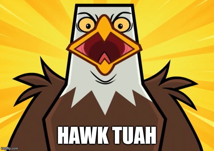 …that | HAWK TUAH | image tagged in hawk tuah,eagle,eagles,bald eagle,hawk,birb | made w/ Imgflip meme maker