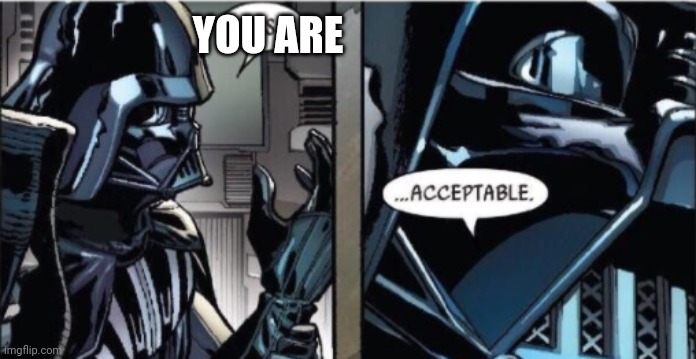 It Is Acceptable | YOU ARE | image tagged in it is acceptable | made w/ Imgflip meme maker