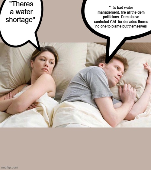 Its that they hate america and want a redo in thier image of what a society should be. | "Theres a water shortage"; " It's bad water management, fire all the dem politicians. Dems have controled CAL for decades theres no one to blame but themselves | image tagged in memes,i bet he's thinking about other women | made w/ Imgflip meme maker