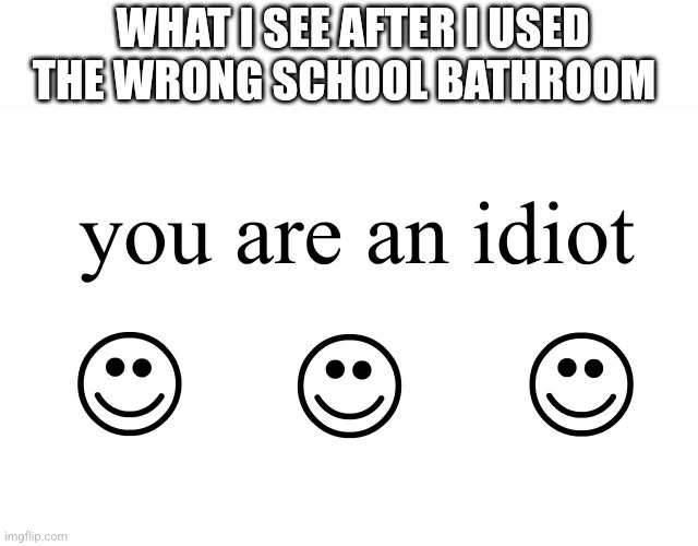 Don't ask | WHAT I SEE AFTER I USED THE WRONG SCHOOL BATHROOM | image tagged in you are an idiot | made w/ Imgflip meme maker