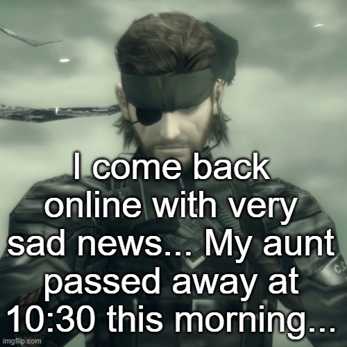 /srs | I come back online with very sad news... My aunt passed away at 10:30 this morning... | image tagged in metal gear solid snake | made w/ Imgflip meme maker