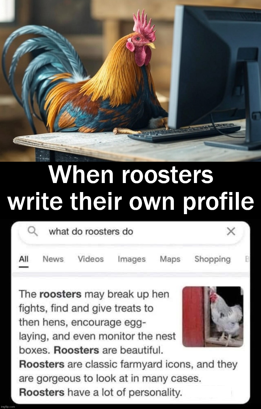 I would do the same thing | When roosters write their own profile | image tagged in rooster,profile,hey internet | made w/ Imgflip meme maker