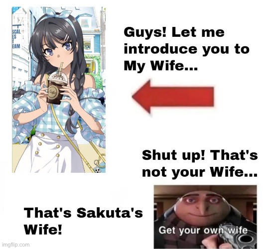 Get your own damn wife guys! | image tagged in rascal does not dream of bunny girl senpai,mai | made w/ Imgflip meme maker