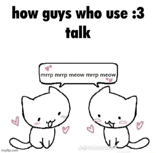 saying "meow" in chat and seeing how many more appear is a good way to gauge server quality | made w/ Imgflip meme maker