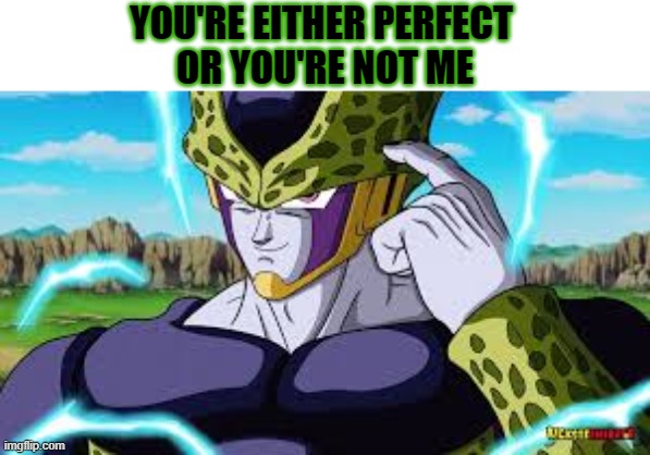 You're either perfect or you're not me | YOU'RE EITHER PERFECT 
OR YOU'RE NOT ME | image tagged in perfect,perfection,perfect cell,dragon ball z,anime | made w/ Imgflip meme maker