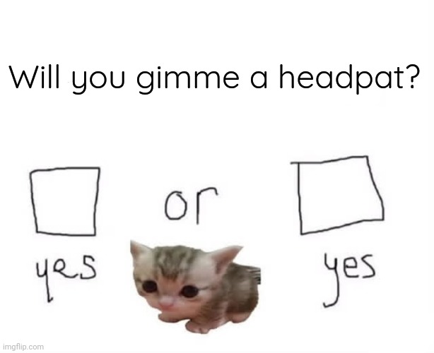 Do you like me | Will you gimme a headpat? | image tagged in do you like me | made w/ Imgflip meme maker