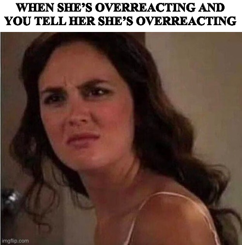 WHEN SHE’S OVERREACTING AND YOU TELL HER SHE’S OVERREACTING | image tagged in fun | made w/ Imgflip meme maker