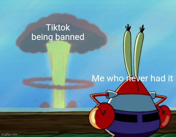 i love watching everyone freak out | Tiktok being banned; Me who never had it | image tagged in mr krabs looking at explosion,tiktok,tiktok sucks | made w/ Imgflip meme maker