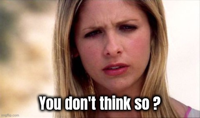 Buffy The Vampire Slayer WTF | You don't think so ? | image tagged in buffy the vampire slayer wtf | made w/ Imgflip meme maker