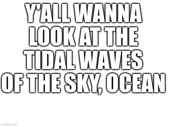 Blank White Template | Y'ALL WANNA LOOK AT THE TIDAL WAVES OF THE SKY, OCEAN | image tagged in blank white template | made w/ Imgflip meme maker