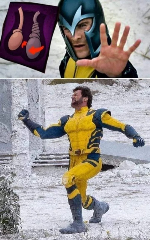 Stop the Wolverine | image tagged in wolverine | made w/ Imgflip meme maker