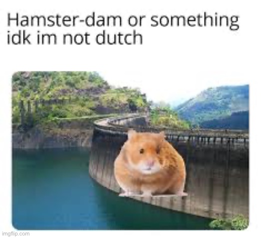 Hamster-dam | image tagged in memes,funny,hamster,wholesome | made w/ Imgflip meme maker