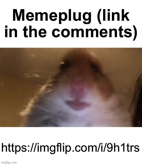 Memeplug | https://imgflip.com/i/9h1trs | image tagged in memeplug | made w/ Imgflip meme maker