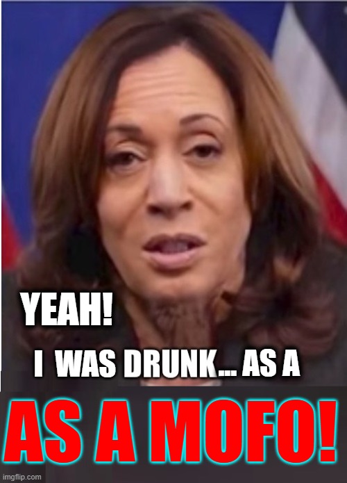 I Ain't Got no Job no more | YEAH! I  WAS; ... AS A; AS A MOFO! | image tagged in vince vance,kamala harris,drunk,you're fired,out of work,unemployed | made w/ Imgflip meme maker