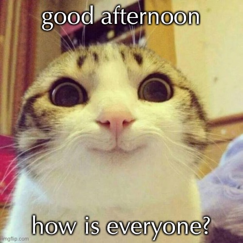 hi | good afternoon; how is everyone? | image tagged in memes,smiling cat | made w/ Imgflip meme maker