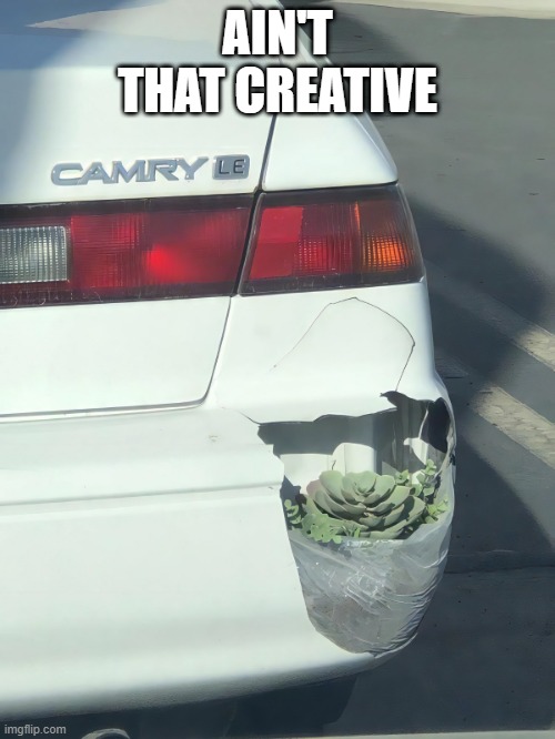 Bumper Planter | AIN'T THAT CREATIVE | image tagged in funny,meme | made w/ Imgflip meme maker