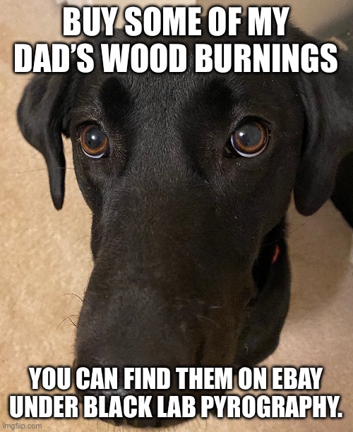 BUY SOME OF MY DAD’S WOOD BURNINGS; YOU CAN FIND THEM ON EBAY UNDER BLACK LAB PYROGRAPHY. | image tagged in black lab | made w/ Imgflip meme maker