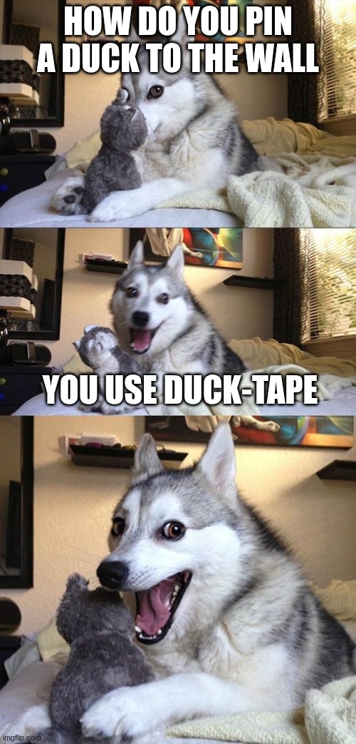 crappy joke I made up | HOW DO YOU PIN A DUCK TO THE WALL; YOU USE DUCK-TAPE | image tagged in bad joke dog | made w/ Imgflip meme maker