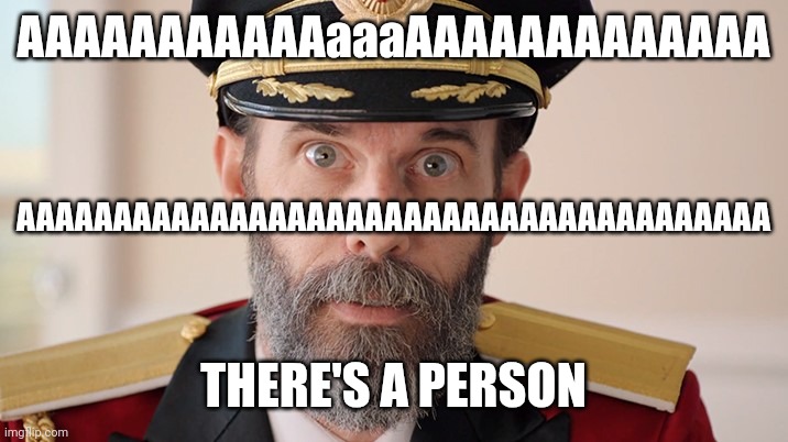 Captain Obvious Alarmed | AAAAAAAAAAAaaaAAAAAAAAAAAAA; AAAAAAAAAAAAAAAAAAAAAAAAAAAAAAAAAAAAAAA; THERE'S A PERSON | image tagged in captain obvious alarmed | made w/ Imgflip meme maker