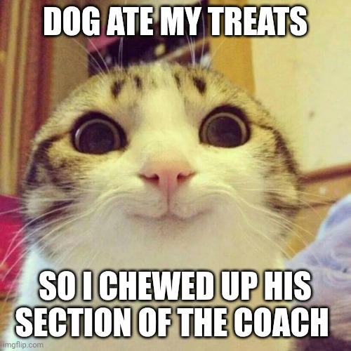 Smiling Cat | DOG ATE MY TREATS; SO I CHEWED UP HIS SECTION OF THE COACH | image tagged in memes,smiling cat | made w/ Imgflip meme maker