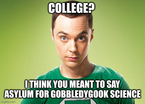 Sheldon Cooper | COLLEGE? I THINK YOU MEANT TO SAY ASYLUM FOR GOBBLEDYGOOK SCIENCE | image tagged in sheldon cooper | made w/ Imgflip meme maker