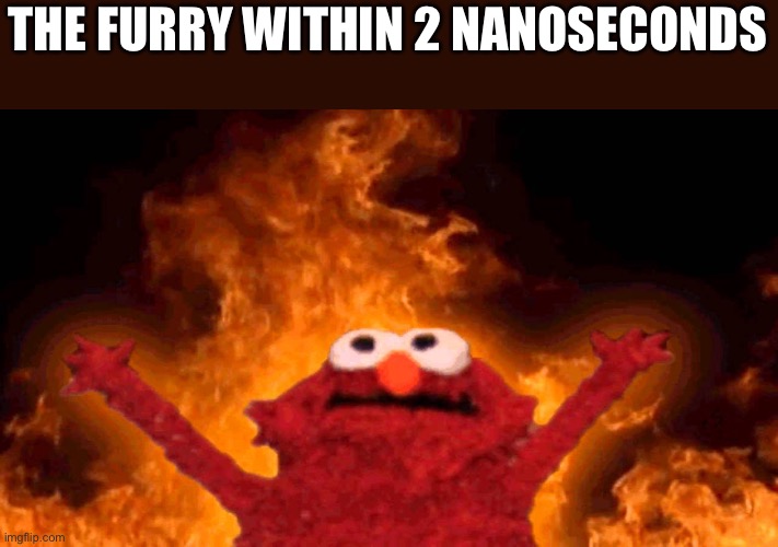 elmo fire | THE FURRY WITHIN 2 NANOSECONDS | image tagged in elmo fire | made w/ Imgflip meme maker