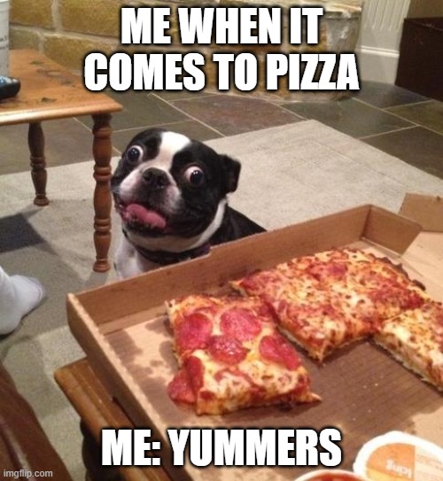 YUMMERS | ME WHEN IT COMES TO PIZZA; ME: YUMMERS | image tagged in hungry pizza dog | made w/ Imgflip meme maker