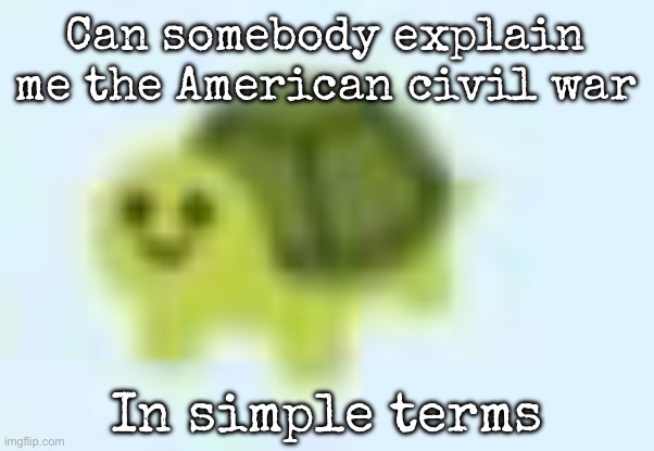 low quality turtle | Can somebody explain me the American civil war; In simple terms | image tagged in low quality turtle,msmg | made w/ Imgflip meme maker