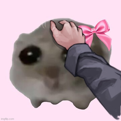 Sad Hamster with Bow (girl) | image tagged in sad hamster with bow girl | made w/ Imgflip meme maker