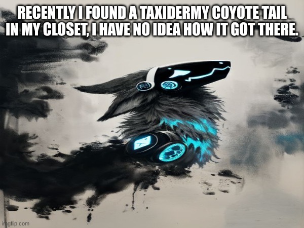 RECENTLY I FOUND A TAXIDERMY COYOTE TAIL IN MY CLOSET, I HAVE NO IDEA HOW IT GOT THERE. | made w/ Imgflip meme maker