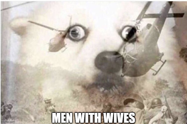 Men With Wives | MEN WITH WIVES | image tagged in vietnam dog,wives | made w/ Imgflip meme maker