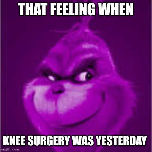 purple grinch | THAT FEELING WHEN; KNEE SURGERY WAS YESTERDAY | image tagged in purple grinch | made w/ Imgflip meme maker