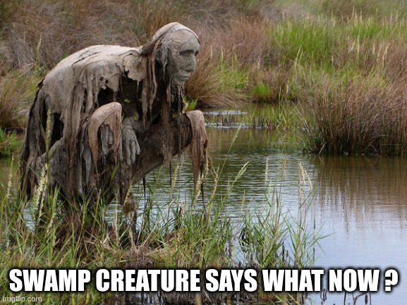 SWAMP CREATURE SAYS WHAT NOW ? | image tagged in funny memes | made w/ Imgflip meme maker