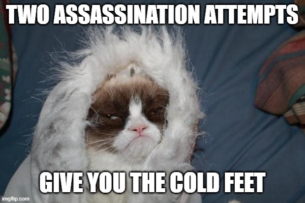 No... no... it is because of the Weather, sooo much climate change, You know... | TWO ASSASSINATION ATTEMPTS; GIVE YOU THE COLD FEET | image tagged in cold grumpy cat,tump,inauguration day,inside | made w/ Imgflip meme maker