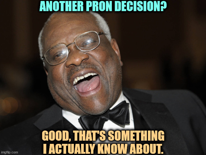 Anita Hill was right. | ANOTHER PRON DECISION? GOOD, THAT'S SOMETHING I ACTUALLY KNOW ABOUT. | image tagged in clarence thomas laughing,clarence thomas,long dong silver,filthy,smut | made w/ Imgflip meme maker