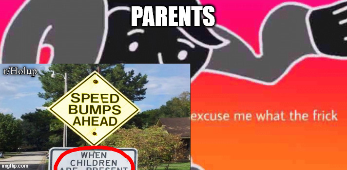 Excuse Me What The Frick | PARENTS | image tagged in excuse me what the frick | made w/ Imgflip meme maker