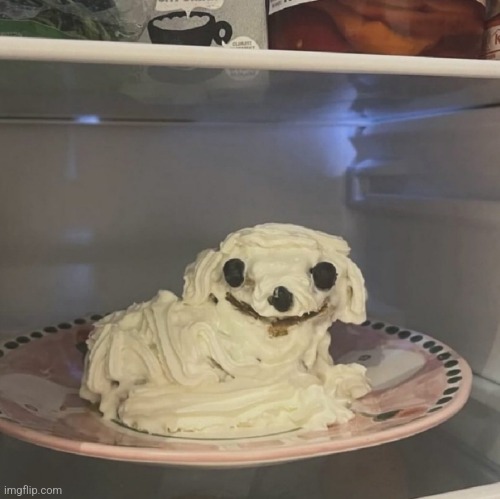 doggo | image tagged in dog,food,cake,dessert,delish,fridge | made w/ Imgflip meme maker