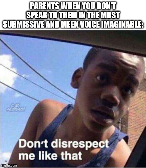 Parent slander # convert 3534673567739579 degrees to radians | PARENTS WHEN YOU DON'T SPEAK TO THEM IN THE MOST SUBMISSIVE AND MEEK VOICE IMAGINABLE: | image tagged in don't disrespect me like that | made w/ Imgflip meme maker
