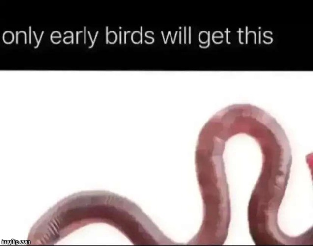 only bird will get this xD | made w/ Imgflip meme maker