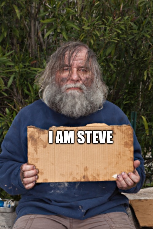Blak Homeless Sign | I AM STEVE | image tagged in blak homeless sign | made w/ Imgflip meme maker