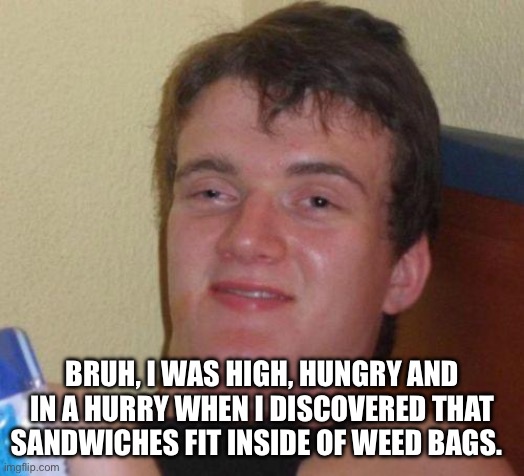 Stoned Guy | BRUH, I WAS HIGH, HUNGRY AND IN A HURRY WHEN I DISCOVERED THAT SANDWICHES FIT INSIDE OF WEED BAGS. | image tagged in stoned guy,elon musk weed,marijuana,too damn high,funny memes,discovery | made w/ Imgflip meme maker