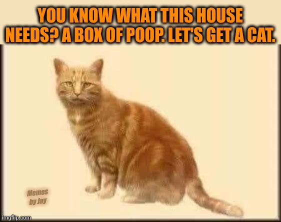 All righty then | YOU KNOW WHAT THIS HOUSE NEEDS? A BOX OF POOP. LET'S GET A CAT. Memes by Jay | image tagged in cats,poop | made w/ Imgflip meme maker