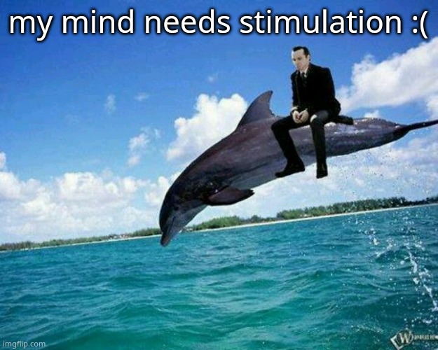 What the hell | my mind needs stimulation :( | image tagged in what the hell | made w/ Imgflip meme maker