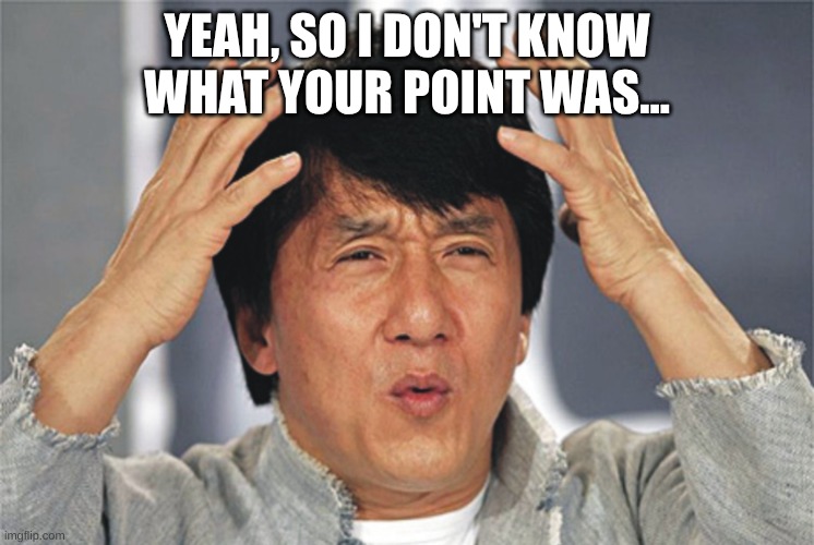 Jackie Chan Confused | YEAH, SO I DON'T KNOW WHAT YOUR POINT WAS... | image tagged in jackie chan confused | made w/ Imgflip meme maker