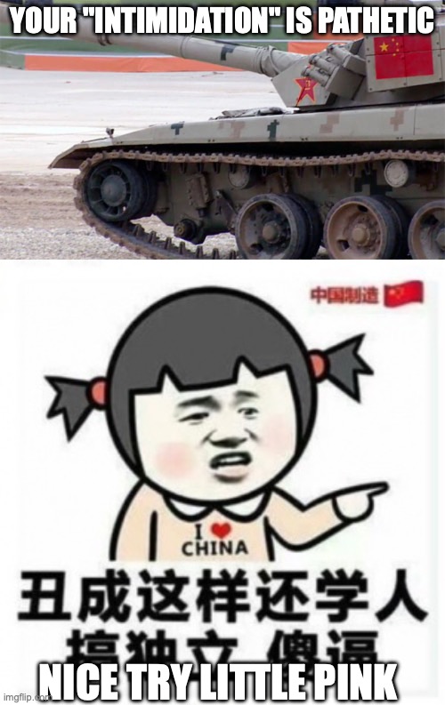 How to respond to CCP simps anti Taiwan threats | YOUR "INTIMIDATION" IS PATHETIC; NICE TRY LITTLE PINK | image tagged in china,taiwan,ccp | made w/ Imgflip meme maker