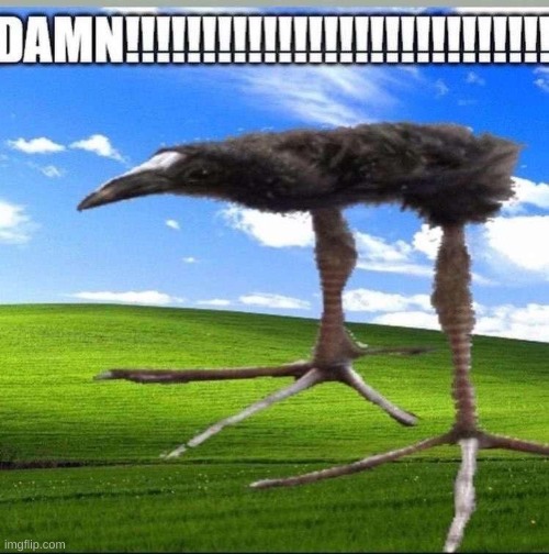 DAMN!!!!!!!!!!!!!!!!!!!!!!!!!!!! | made w/ Imgflip meme maker