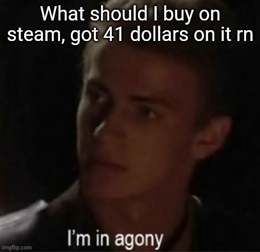 I'm in agony | What should I buy on steam, got 41 dollars on it rn | image tagged in i'm in agony | made w/ Imgflip meme maker