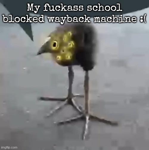 Lobotomy Corporation Bird | My fuckass school blocked wayback machine :( | image tagged in lobotomy corporation bird | made w/ Imgflip meme maker